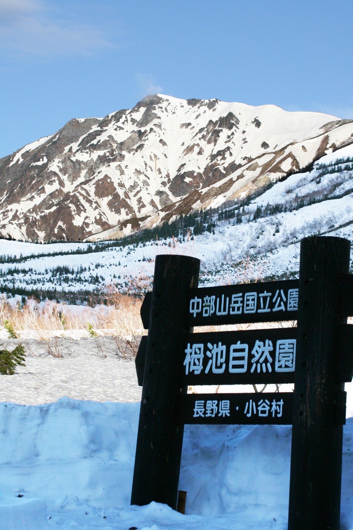 雪山からの春の便り～ | サンテインおたり | 下里瀬温泉｜信州小谷村｜公式【ベストレート保証】